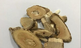 猫人参的功效与作用 猫人参的功效与作用有哪些