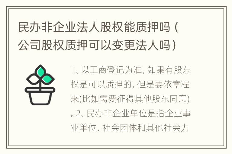 民办非企业法人股权能质押吗（公司股权质押可以变更法人吗）