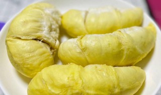 榴莲肉鸡壳汤怎么做 榴莲肉鸡壳汤有什么特色