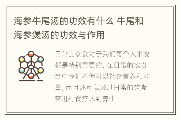 海参牛尾汤的功效有什么 牛尾和海参煲汤的功效与作用