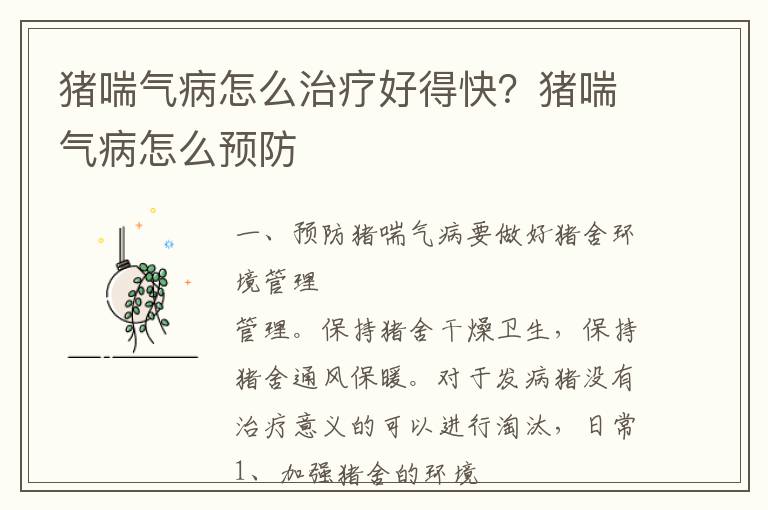 猪喘气病怎么治疗好得快？猪喘气病怎么预防