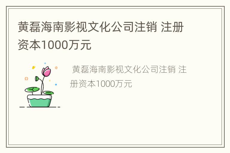 黄磊海南影视文化公司注销 注册资本1000万元