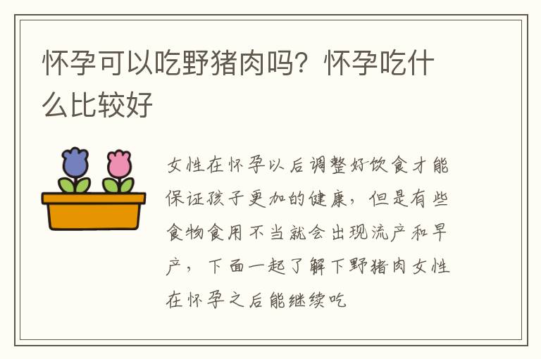 怀孕可以吃野猪肉吗？怀孕吃什么比较好