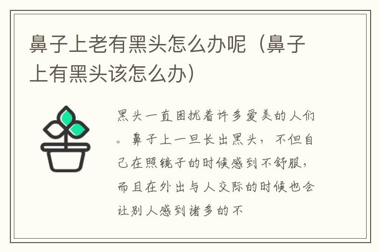 鼻子上老有黑头怎么办呢（鼻子上有黑头该怎么办）