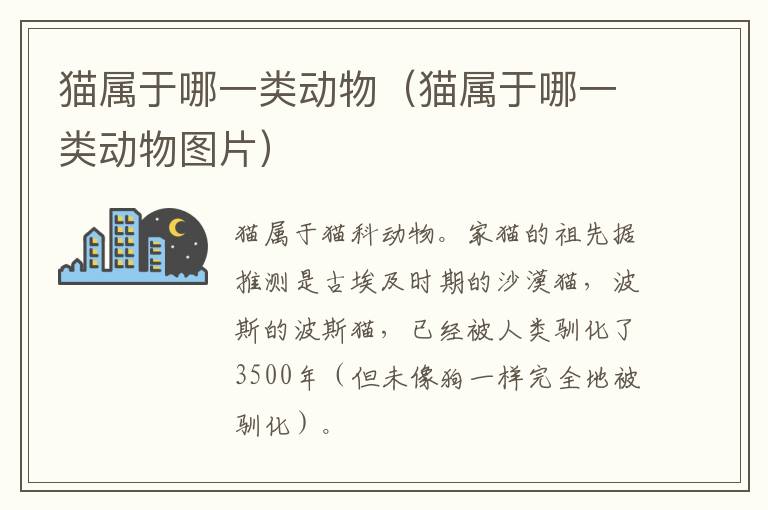 猫属于哪一类动物（猫属于哪一类动物图片）