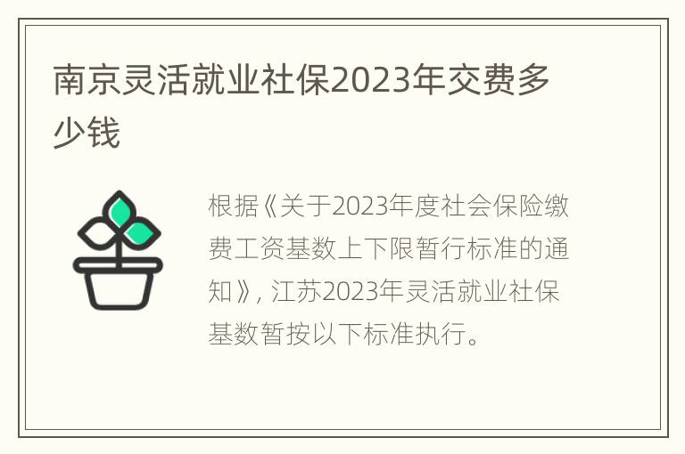 南京灵活就业社保2023年交费多少钱