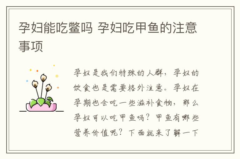 孕妇能吃鳖吗 孕妇吃甲鱼的注意事项