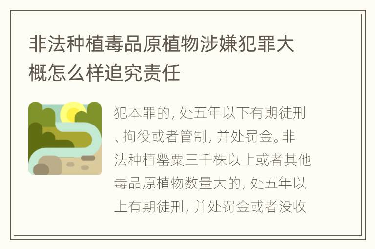 非法种植毒品原植物涉嫌犯罪大概怎么样追究责任