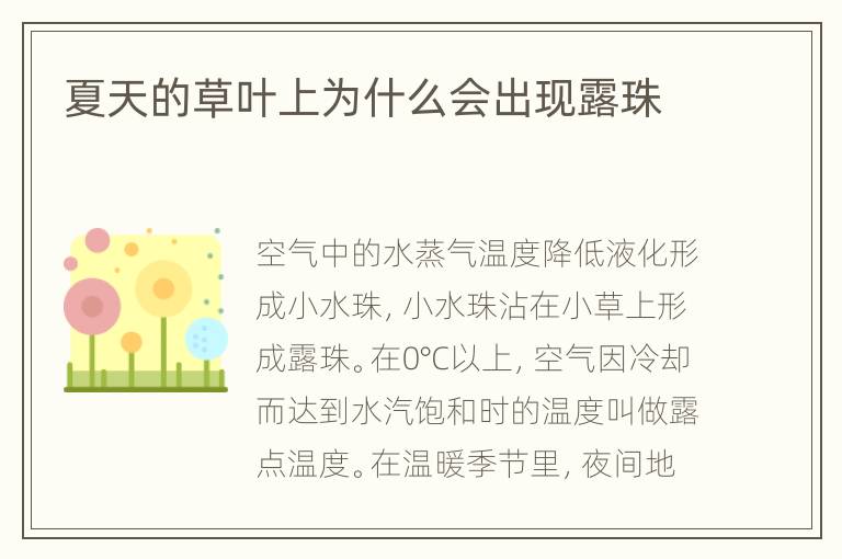 夏天的草叶上为什么会出现露珠