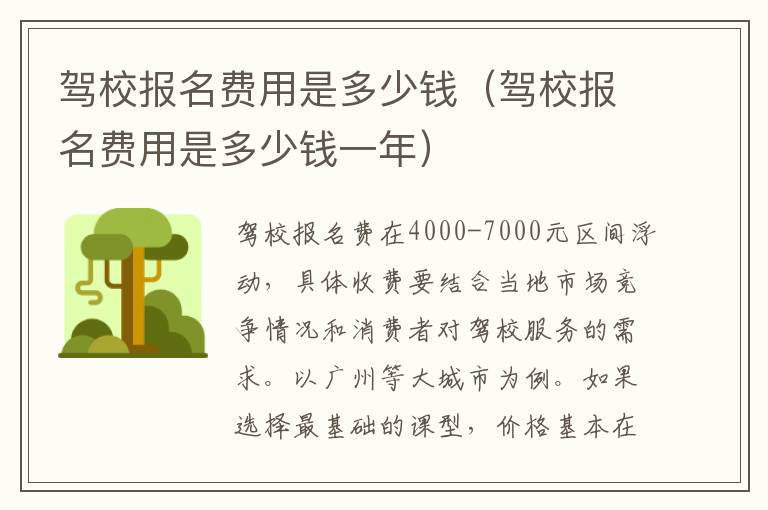 驾校报名费用是多少钱（驾校报名费用是多少钱一年）