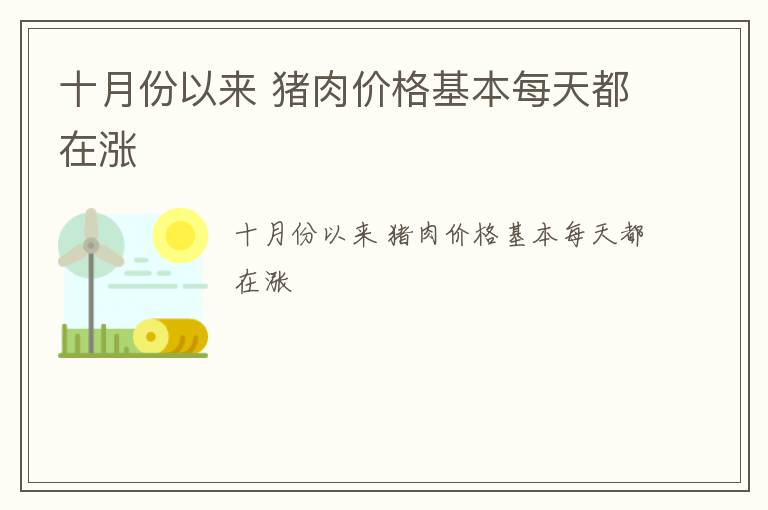 十月份以来 猪肉价格基本每天都在涨