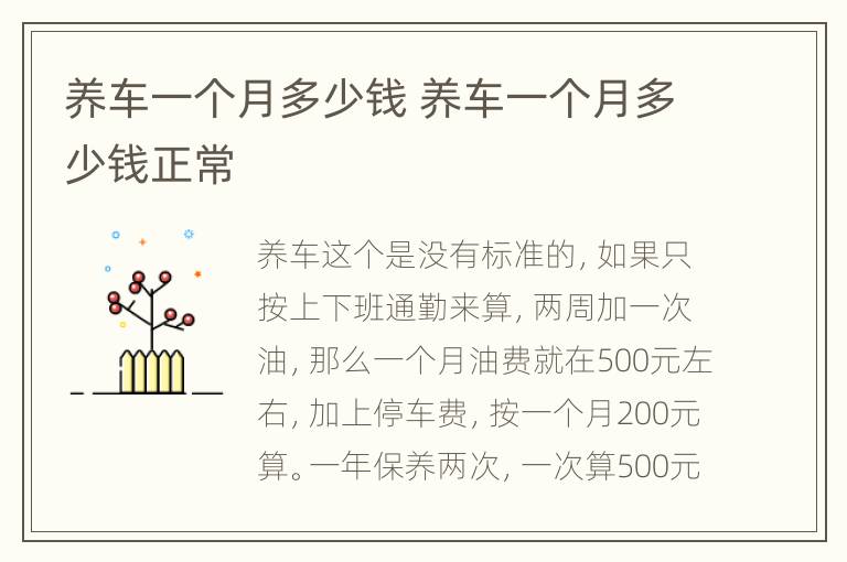 养车一个月多少钱 养车一个月多少钱正常