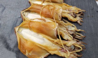 墨鱼干的泡发方法 如何泡发墨鱼干