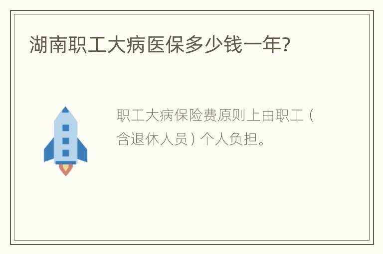 湖南职工大病医保多少钱一年？