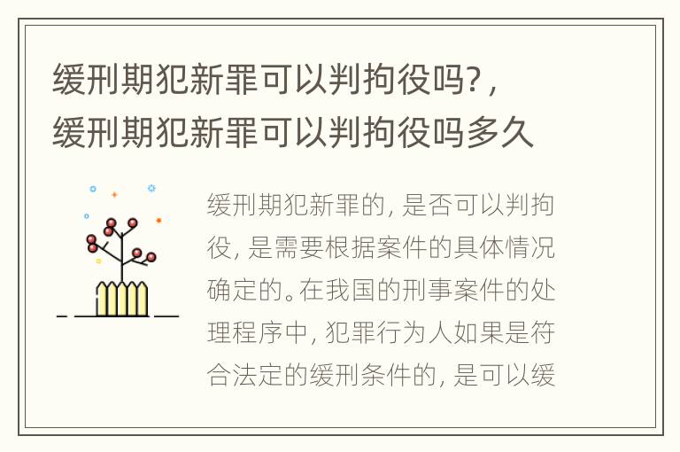 缓刑期犯新罪可以判拘役吗？，缓刑期犯新罪可以判拘役吗多久