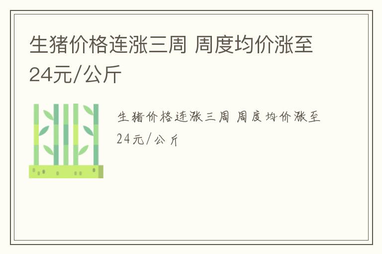 生猪价格连涨三周 周度均价涨至24元/公斤