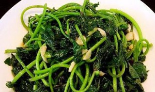 蒜蓉番薯叶制作方法 蒜蓉番薯叶制作方法介绍