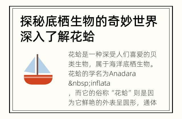 探秘底栖生物的奇妙世界 深入了解花蛤