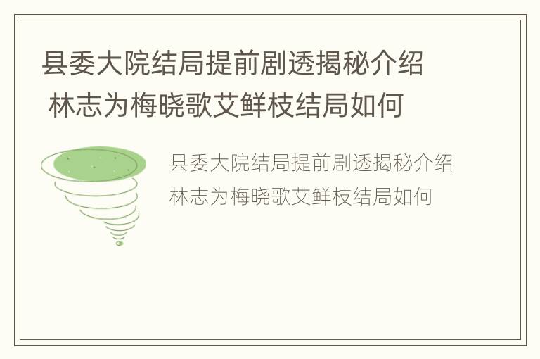 县委大院结局提前剧透揭秘介绍 林志为梅晓歌艾鲜枝结局如何