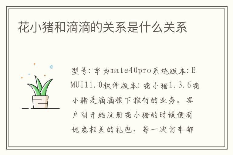 花小猪和滴滴的关系是什么关系