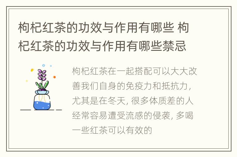 枸杞红茶的功效与作用有哪些 枸杞红茶的功效与作用有哪些禁忌