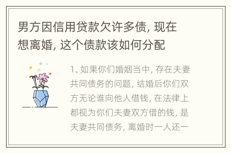 男方因信用贷款欠许多债，现在想离婚，这个债款该如何分配