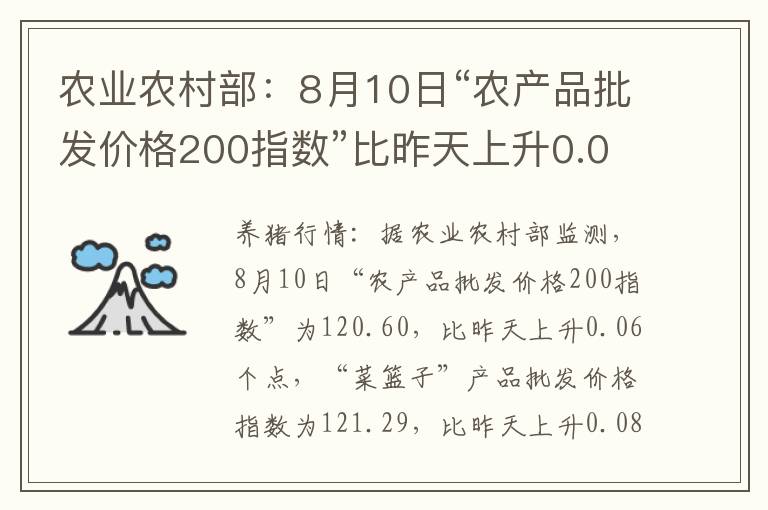 农业农村部：8月10日“农产品批发价格200指数”比昨天上升0.06个点