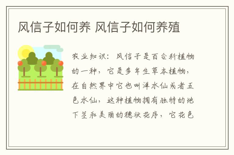风信子如何养 风信子如何养殖
