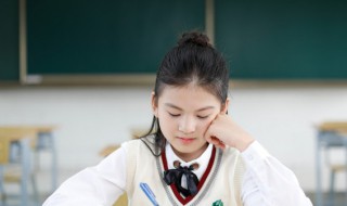 什么是双数 双数的解释