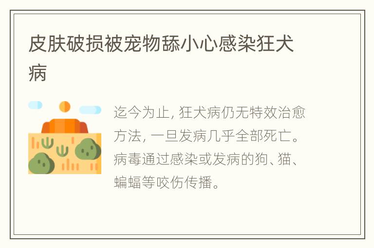 皮肤破损被宠物舔小心感染狂犬病