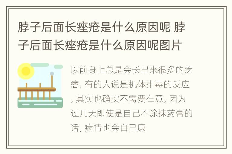 脖子后面长痤疮是什么原因呢 脖子后面长痤疮是什么原因呢图片
