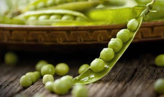 嫩豌豆荚怎么保存 嫩豌豆荚保存的方法