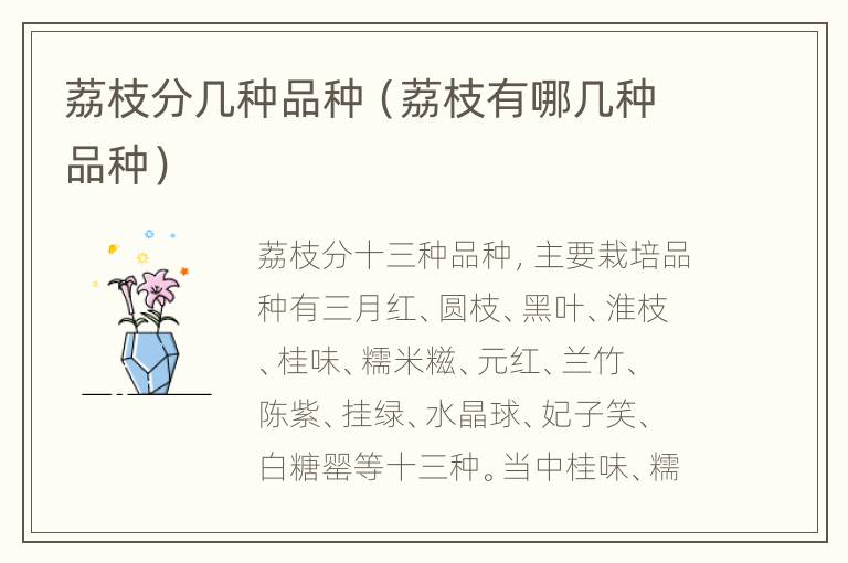 荔枝分几种品种（荔枝有哪几种品种）