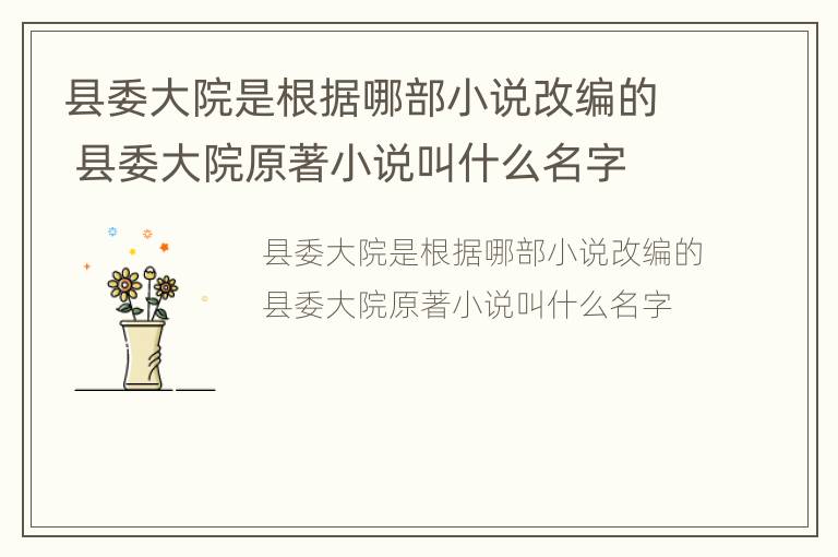 县委大院是根据哪部小说改编的 县委大院原著小说叫什么名字