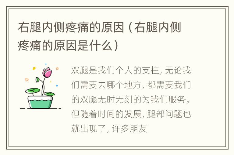 右腿内侧疼痛的原因（右腿内侧疼痛的原因是什么）