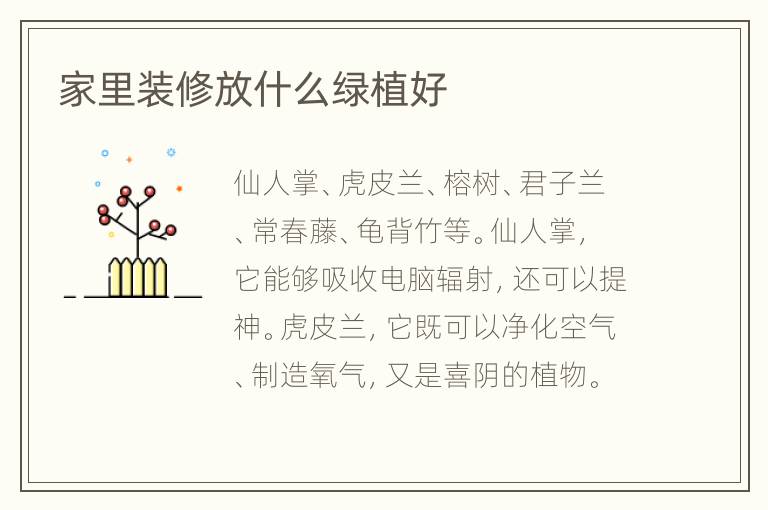 家里装修放什么绿植好
