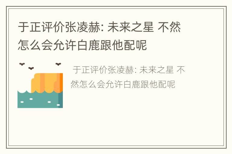 于正评价张凌赫：未来之星 不然怎么会允许白鹿跟他配呢