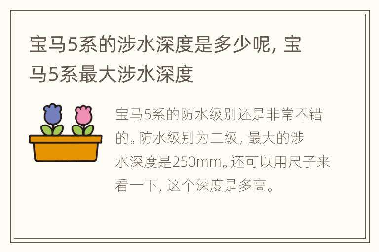 宝马5系的涉水深度是多少呢，宝马5系最大涉水深度