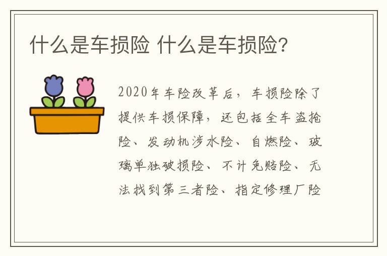 什么是车损险 什么是车损险?