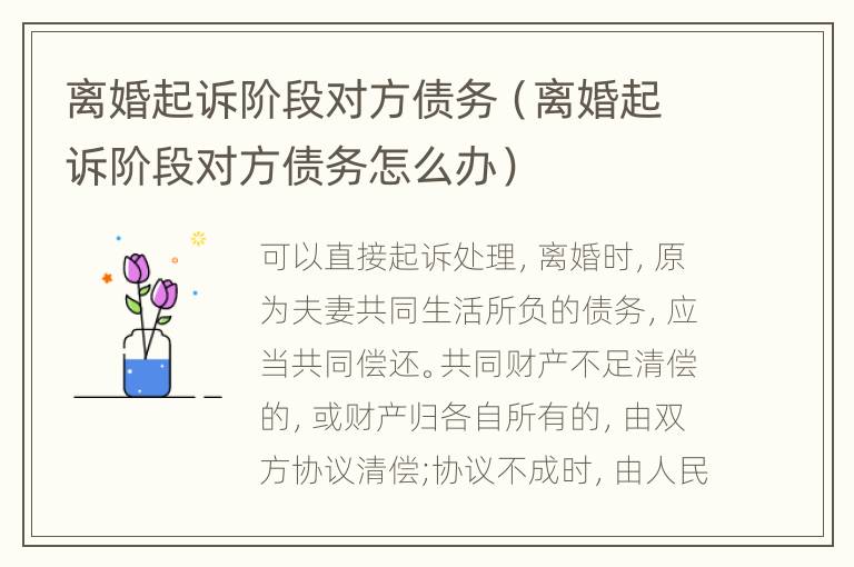 离婚起诉阶段对方债务（离婚起诉阶段对方债务怎么办）