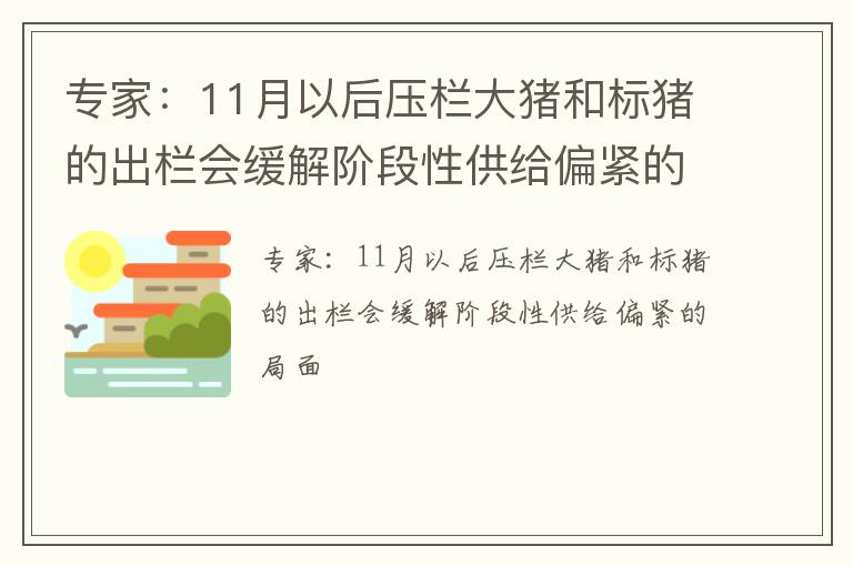 专家：11月以后压栏大猪和标猪的出栏会缓解阶段性供给偏紧的局面