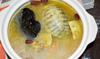 乌龟汤的功效和作用 乌龟汤有什么功效与作用
