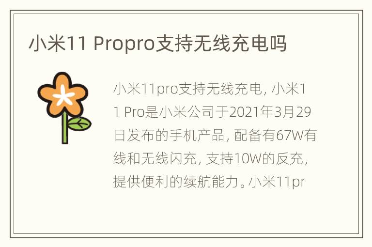 小米11 Propro支持无线充电吗