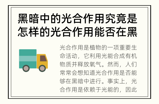 黑暗中的光合作用究竟是怎样的 光合作用能否在黑暗中进行？