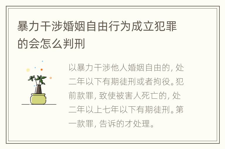 暴力干涉婚姻自由行为成立犯罪的会怎么判刑