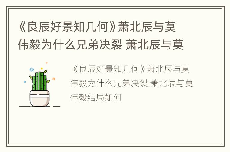 《良辰好景知几何》萧北辰与莫伟毅为什么兄弟决裂 萧北辰与莫伟毅结局如何