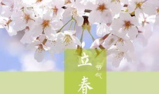 立春吃饼文案 立春吃春饼的朋友圈