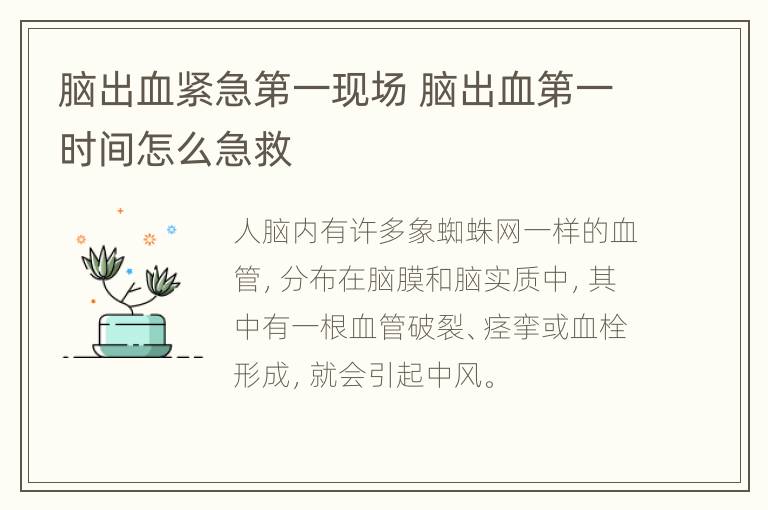 脑出血紧急第一现场 脑出血第一时间怎么急救