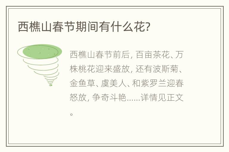 西樵山春节期间有什么花？