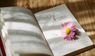 满江红古诗 满江红古诗的赏析